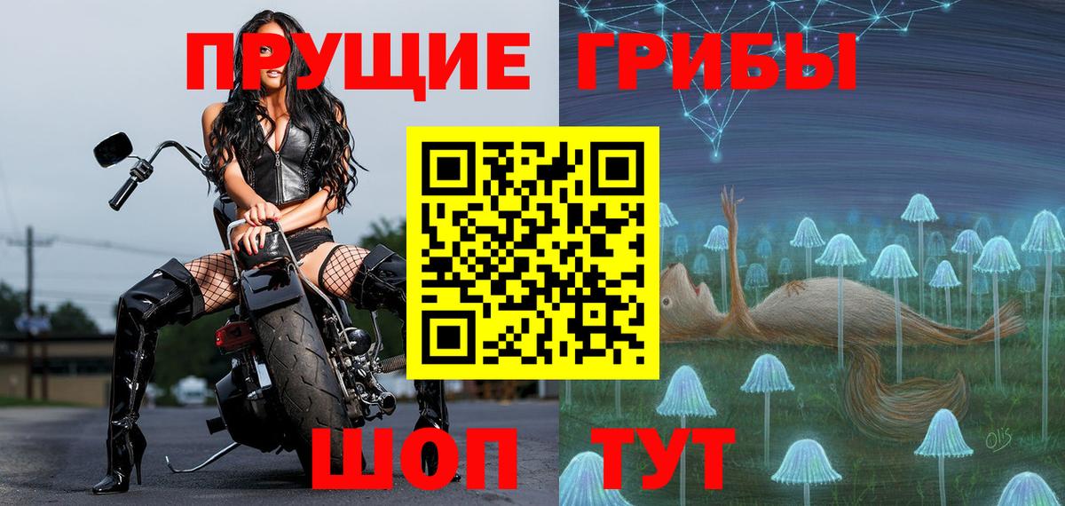 Псилоцибиновые грибы GOLDEN TEACHER  Галлюциногенные грибы мицелий  Отрадное  Вход с VPN 